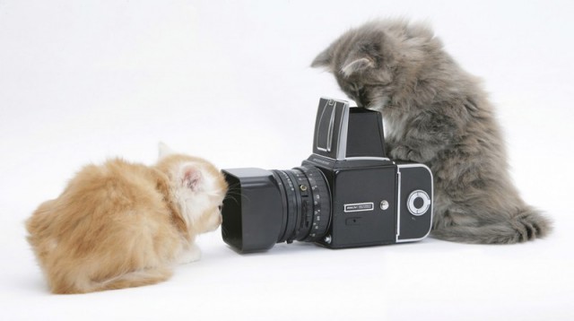 Подборка эмоциональных фотографий