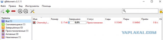 Коэн Брэм: создатель ТОРРЕНТА, главной гавани IT-пиратов