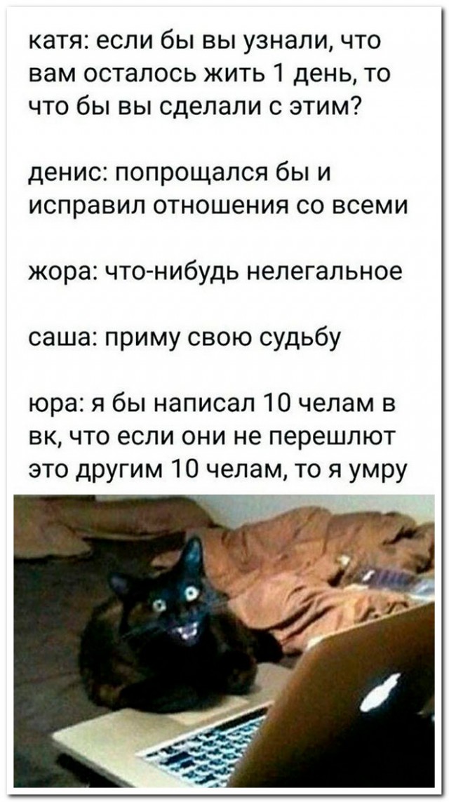 Смешные комментарии из социальных сетей 20.09.2019