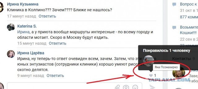 Помогите вернуть кота! Приют "Преданное сердце" украл кота и не отдает!-2