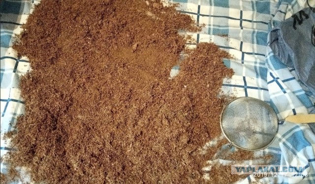 Откуда табак берется