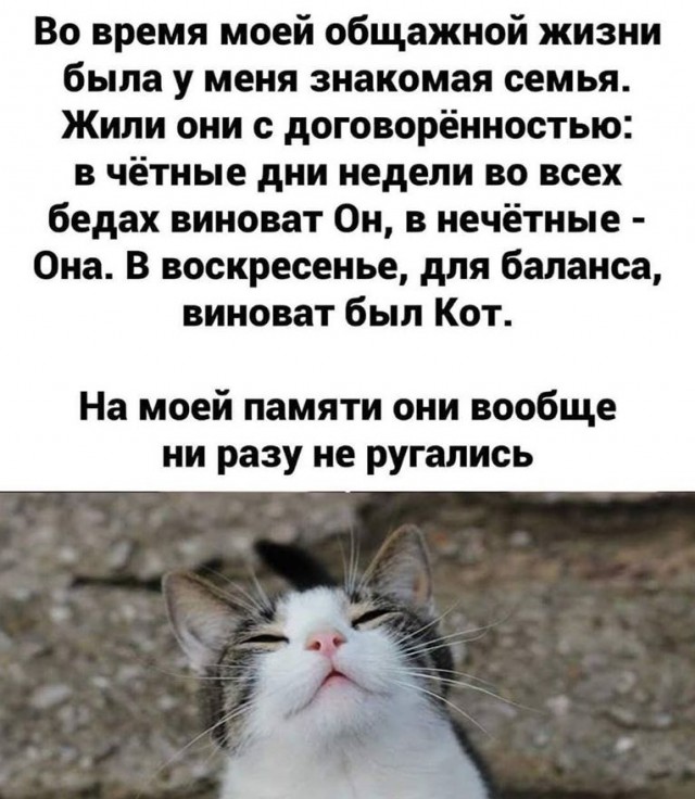 Чуток картинок 15.02.20