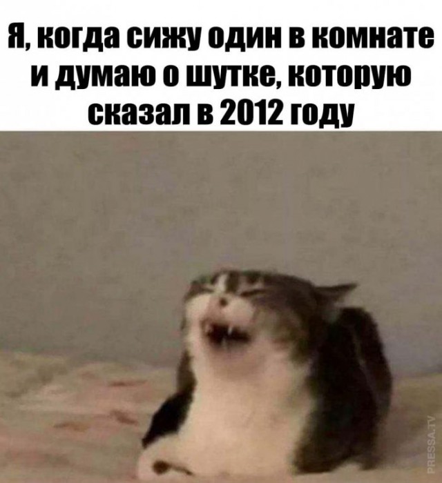 Немного картинок для настроения 17.11.20