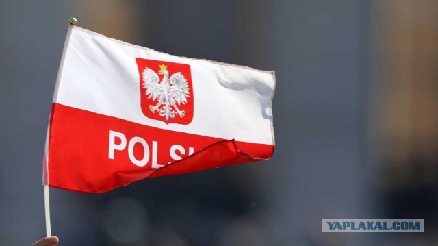 В Варшаве призвали сборную России вставать на колени за "геноцид поляков".