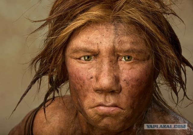 Miss Neanderthal