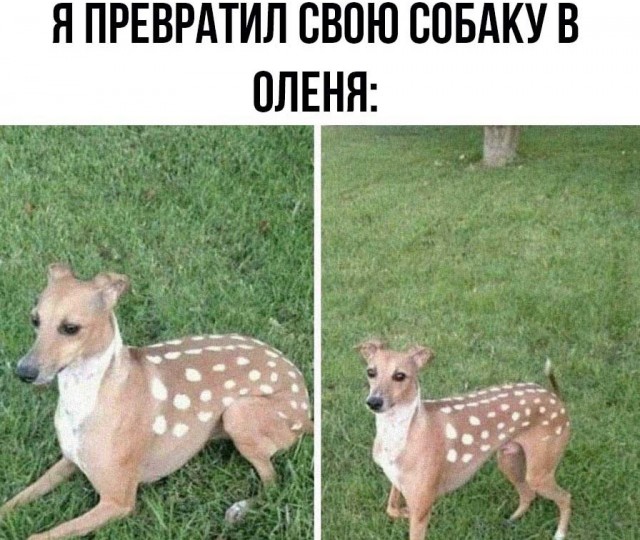 Так себе картинки 24.08.21