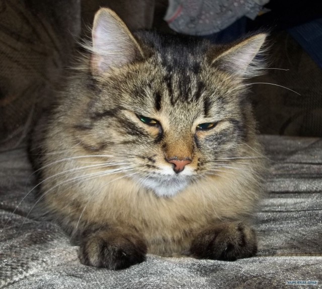 Рулька от Славы.