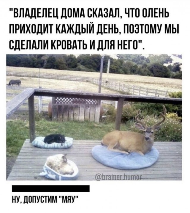 Так себе картинки 28.08.21
