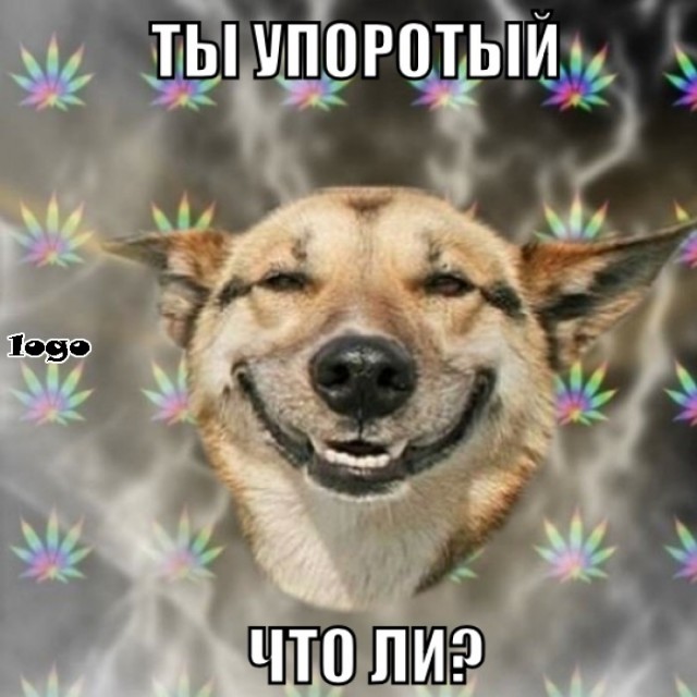 Драка