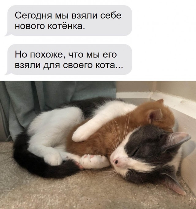 Картинки и мемы для настроения