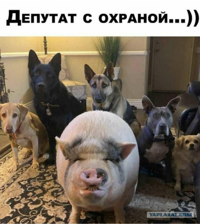 В Тамбове чиновника зарезали в собственном подъезде