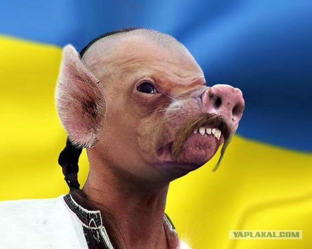 Саня уезжай!