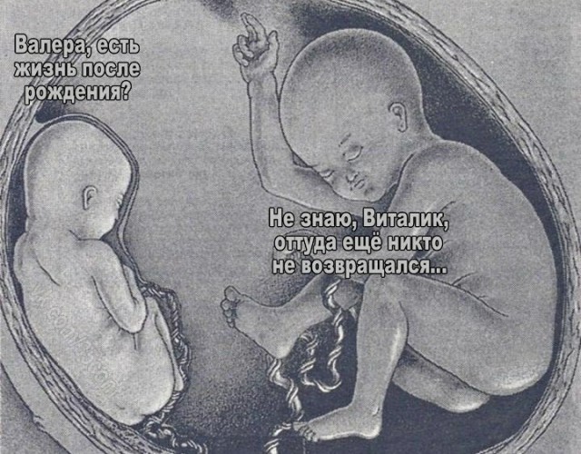 Визуальная философия