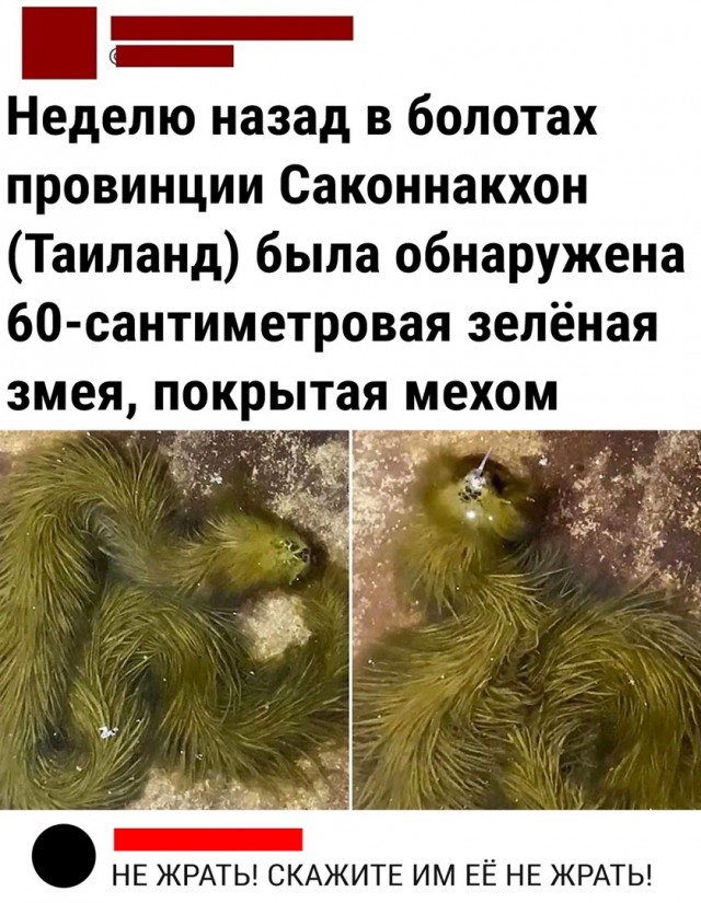 Так себе картинки 15.05.22