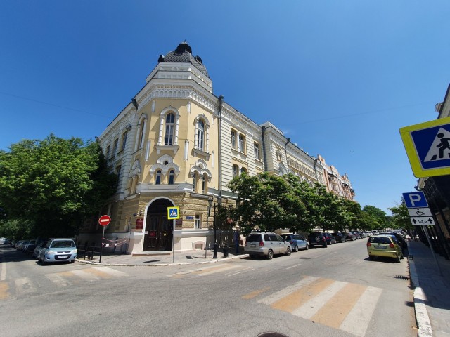 Астрахань – город «мёртвых» собак