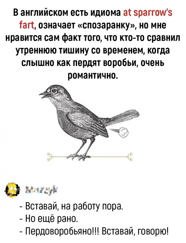 Так себе картинки 17.07.22