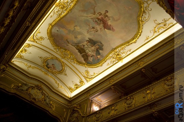 СПб глазами уставшего туриста...