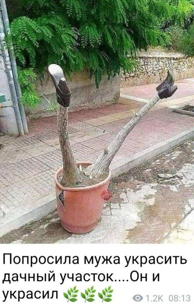 Юмор в картинках и без