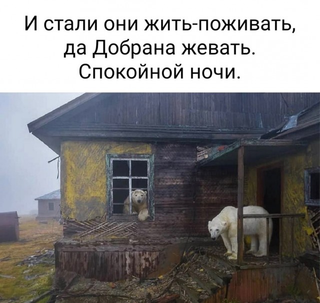 Немного картинок для настроения - 112