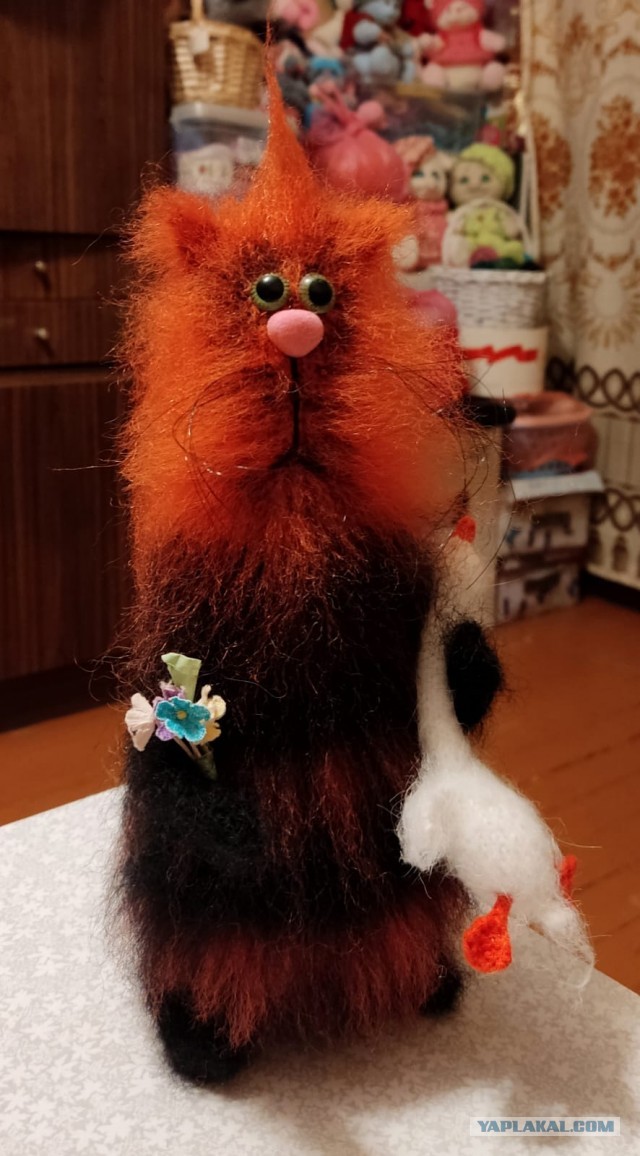 Реально ШЕРСТЯНОЙ котовторник!