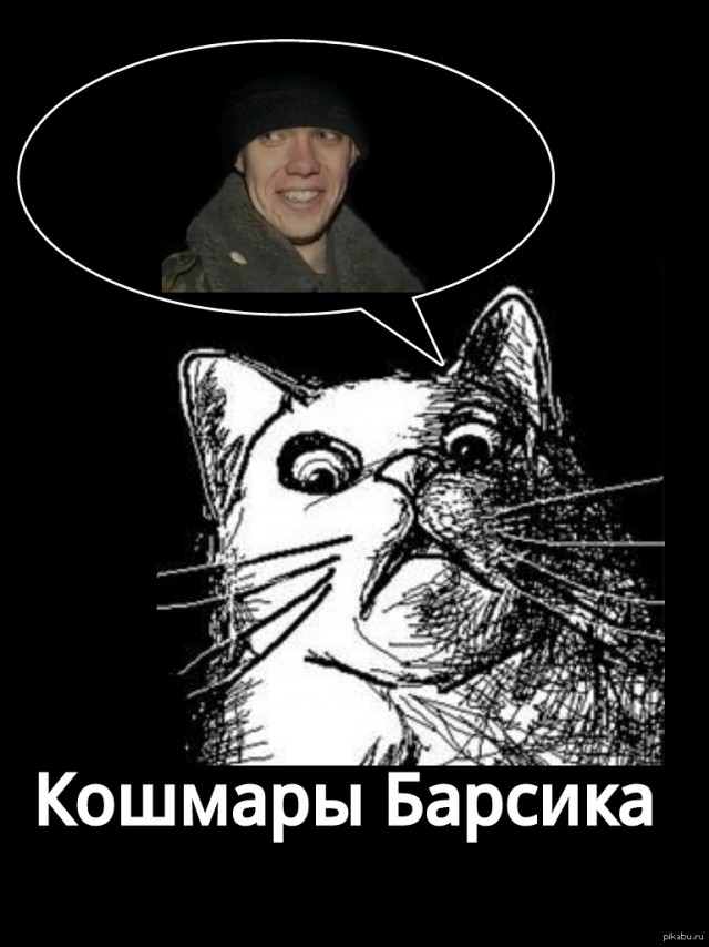 Зато я спас кота