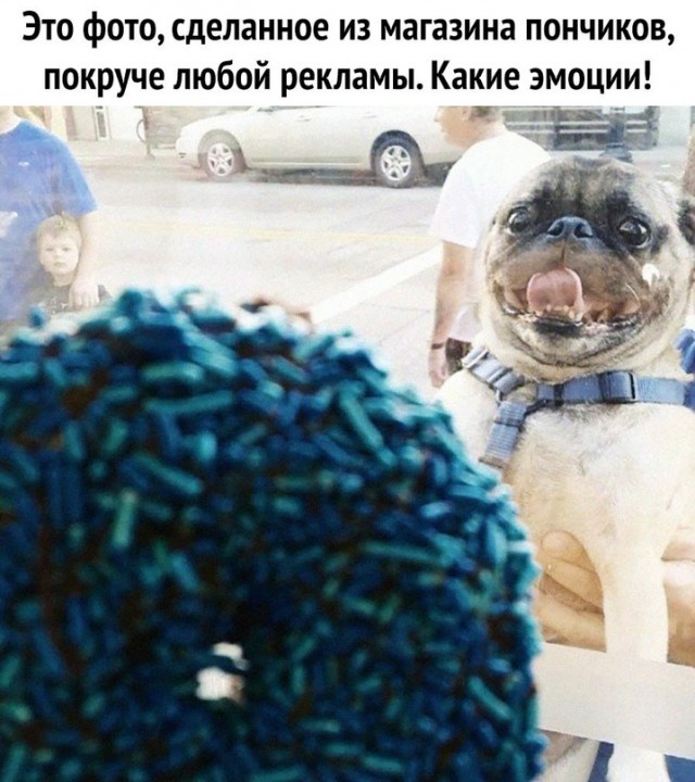 Картинки и мемы для настроения - 181