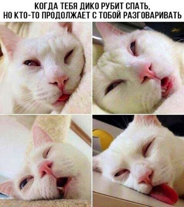 Веселые картинки к пятнице (27.09)