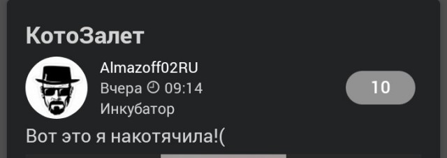КотоТуалет