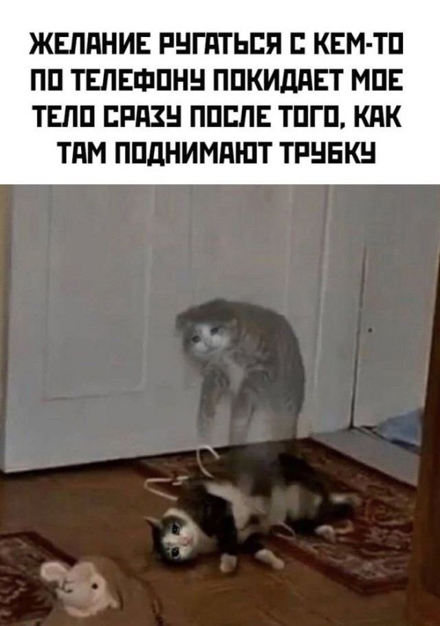 Веселые картинки к пятнице