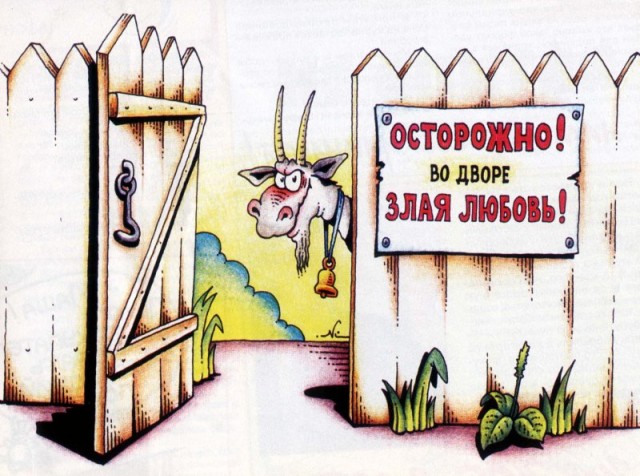 Дамам о козлах и справедливости. Daskochet, ты оно самое)