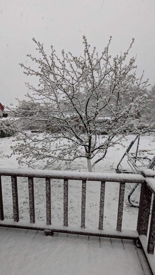 С праздником весны и труда, дорогие однофорумчане!