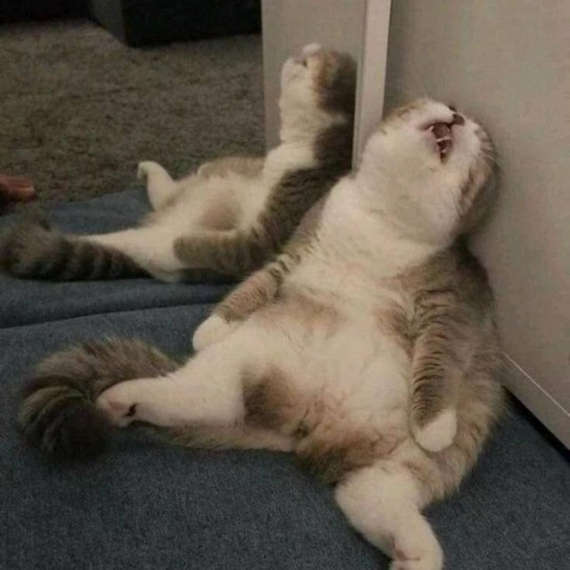 Фестиваль нытья стартовал в Москве — участники должны страдать и жаловаться на жизнь