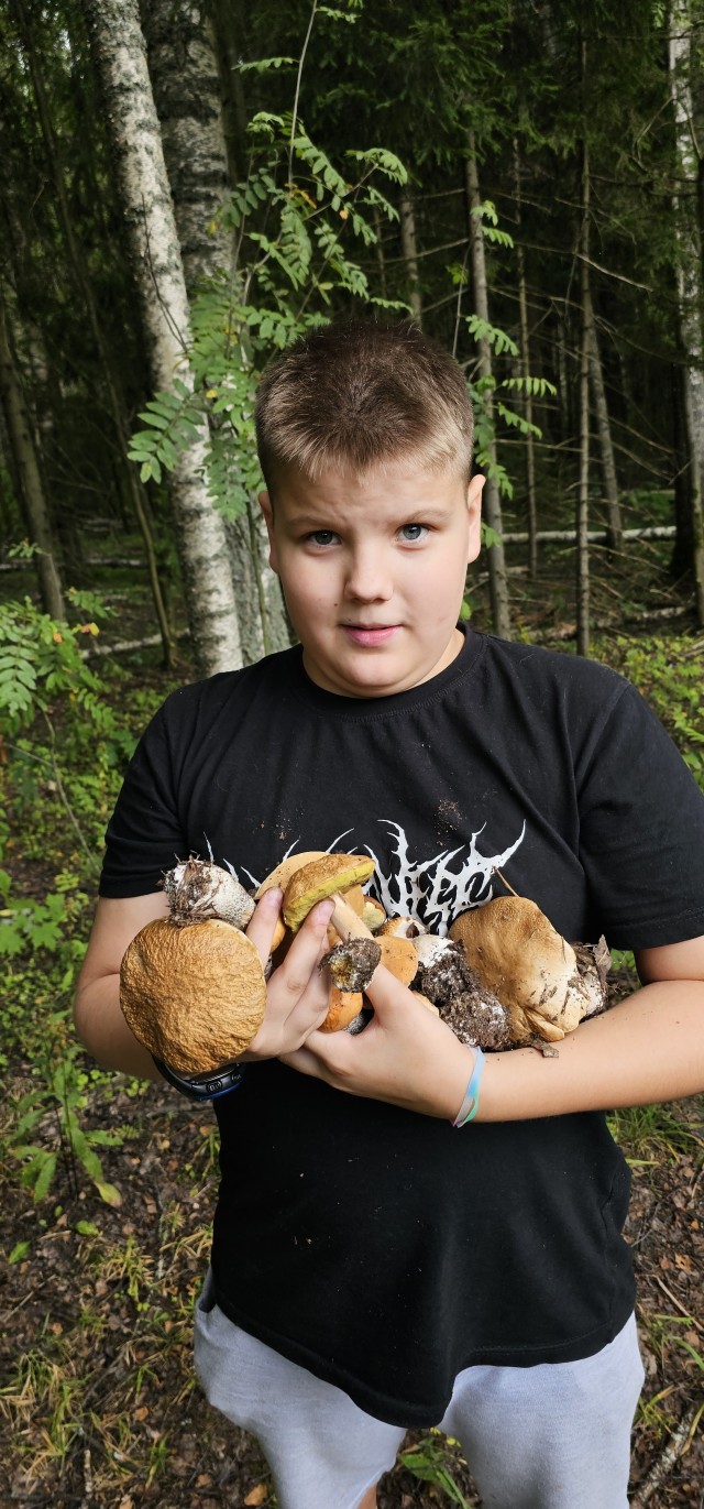 Грибов.есть