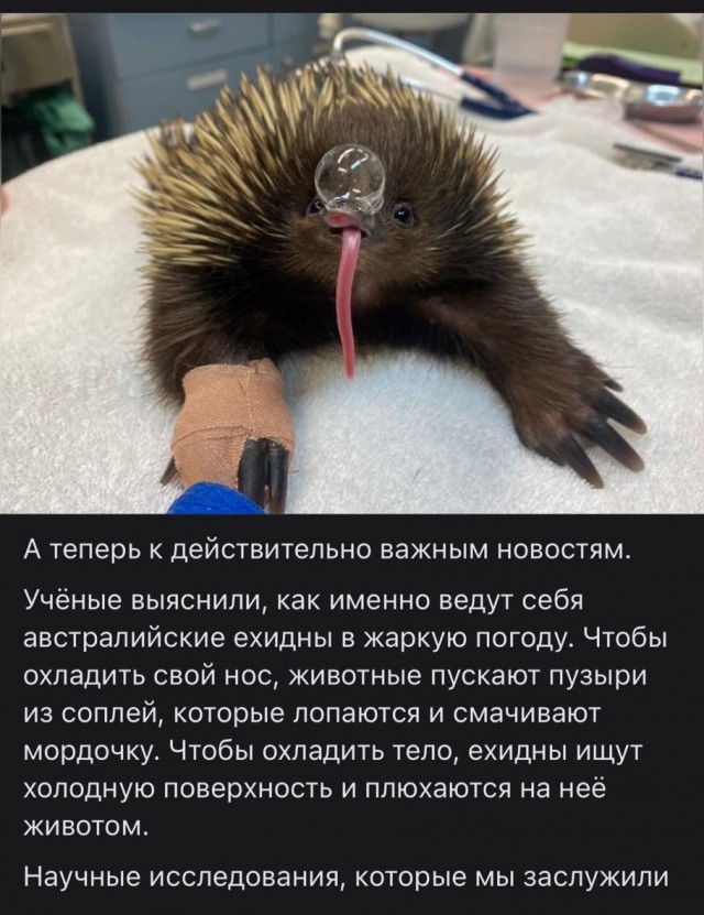 Важные новости