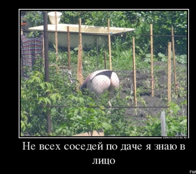 Забавные и не очень скромные картинки - 11