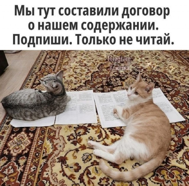 Так себе картинки 19.11.25