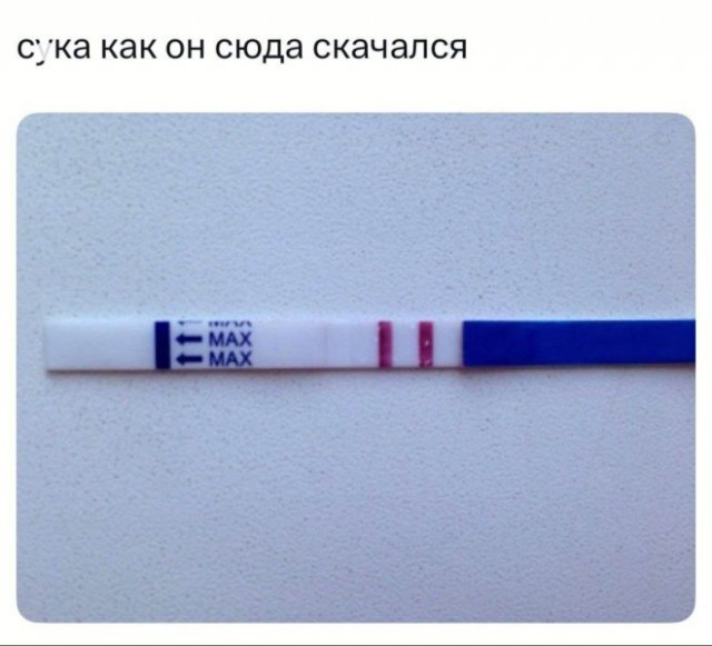 Картиночки, баянчики 16 декабря