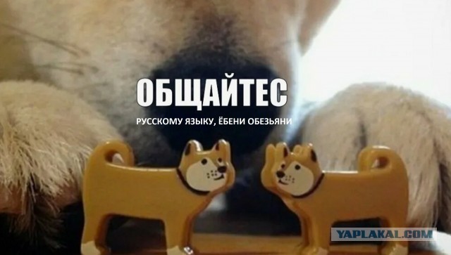 "Инопланетяне существуют" — Барак Обама
