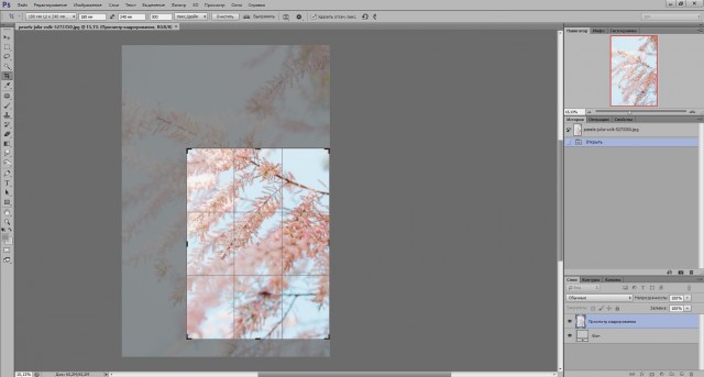 Реддитор с помощью GPT-6 создал бесплатную копию Photoshop
