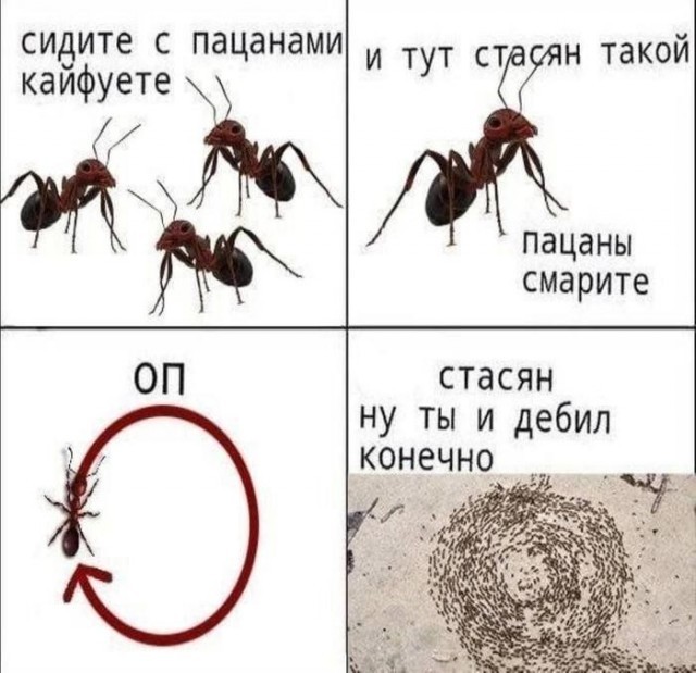 Картинки для деградации 285 (разной степени свежести)