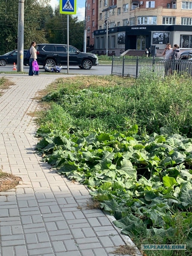 30-ти летний омич закрыл мотосезон... навсегда