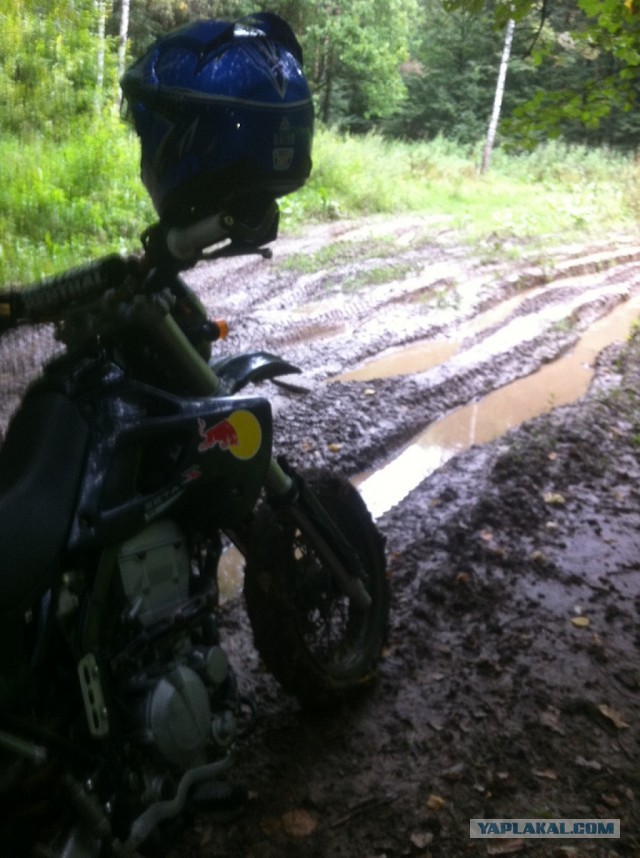 Душа, тело... а скорее просто органы