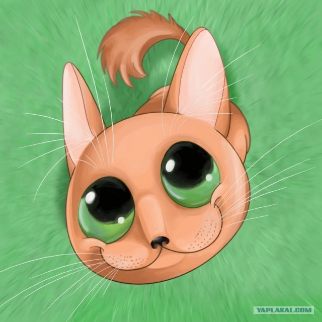 Рисованный котовторник