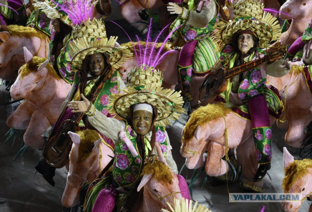 Весь блеск бразильского карнавала
