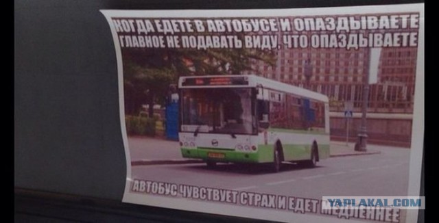 Картинки для настроения