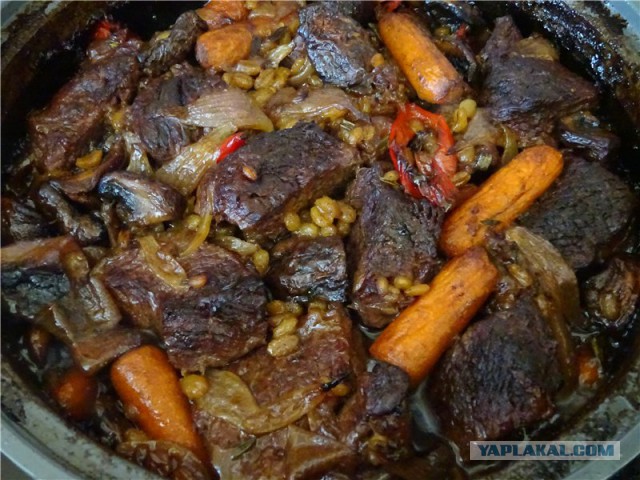 Гастрономическое путешествие мистера Andy, Кулинария для andy2308