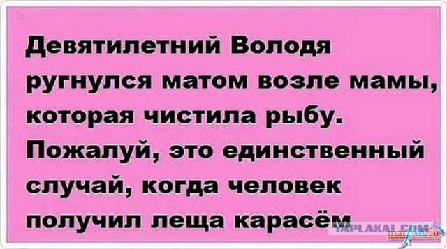Смешные комментарии из социальных сетей 11.09.15