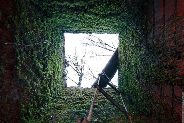 Для фанатов Короля и Шута