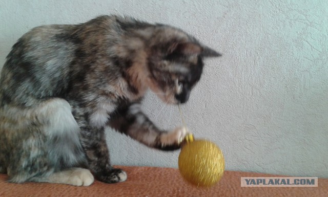 Те, которым мы помогли.