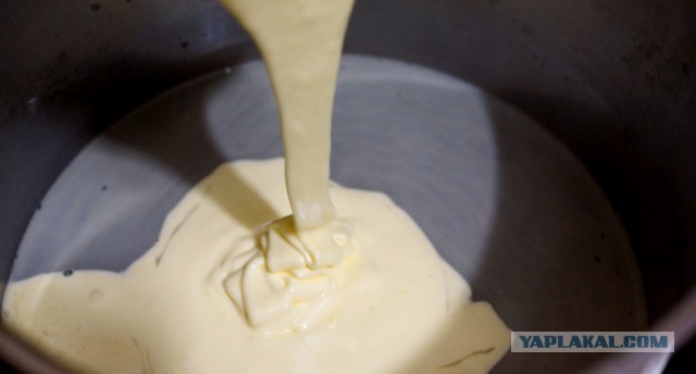 Психокулинария. День открытых дверей.